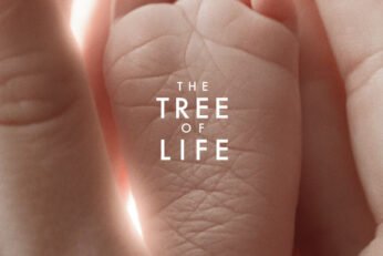 Tree of Life Review: Honest Analysis, Pros, Cons, and Verdict