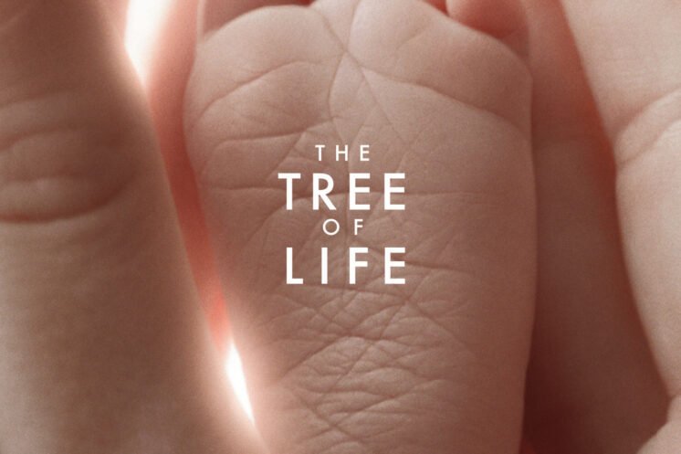 Tree of Life Review: Honest Analysis, Pros, Cons, and Verdict