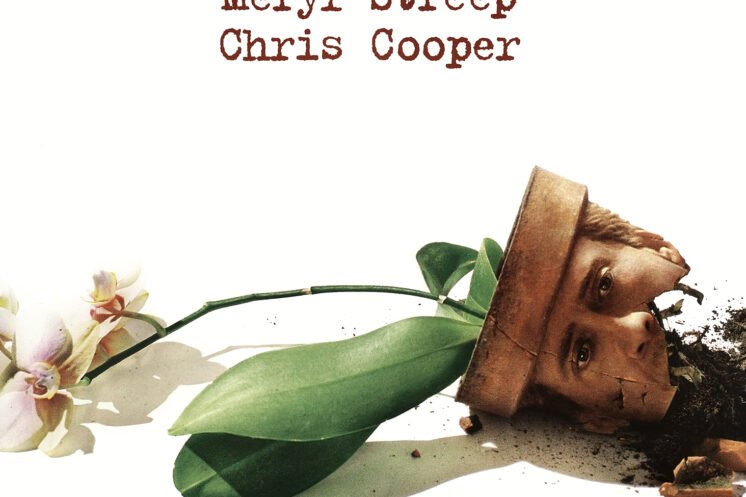 Adaptation Review: A Witty, Meta Masterpiece Worth Rewatching